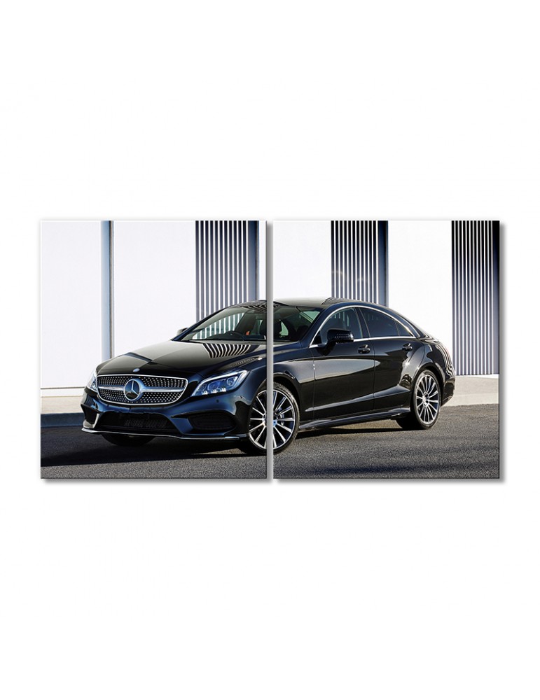 Модульная картина Artel «Автомобиль Мерседес Бенц CLS 500» 2 модуля 40х60 см
Модульная картина Artel «Автомобиль Мерседес Бенц CLS 500» 2 модуля 40х60 см