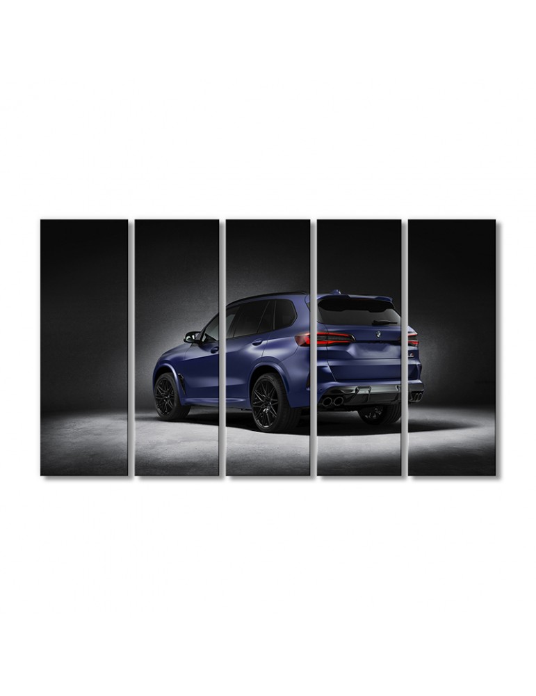 Модульная картина Artel «Автомобиль БМВ X5m первого выпуска» 5 модулей 120x180 см
Модульная картина Artel «Автомобиль БМВ X5m первого выпуска» 5 модулей 120x180 см