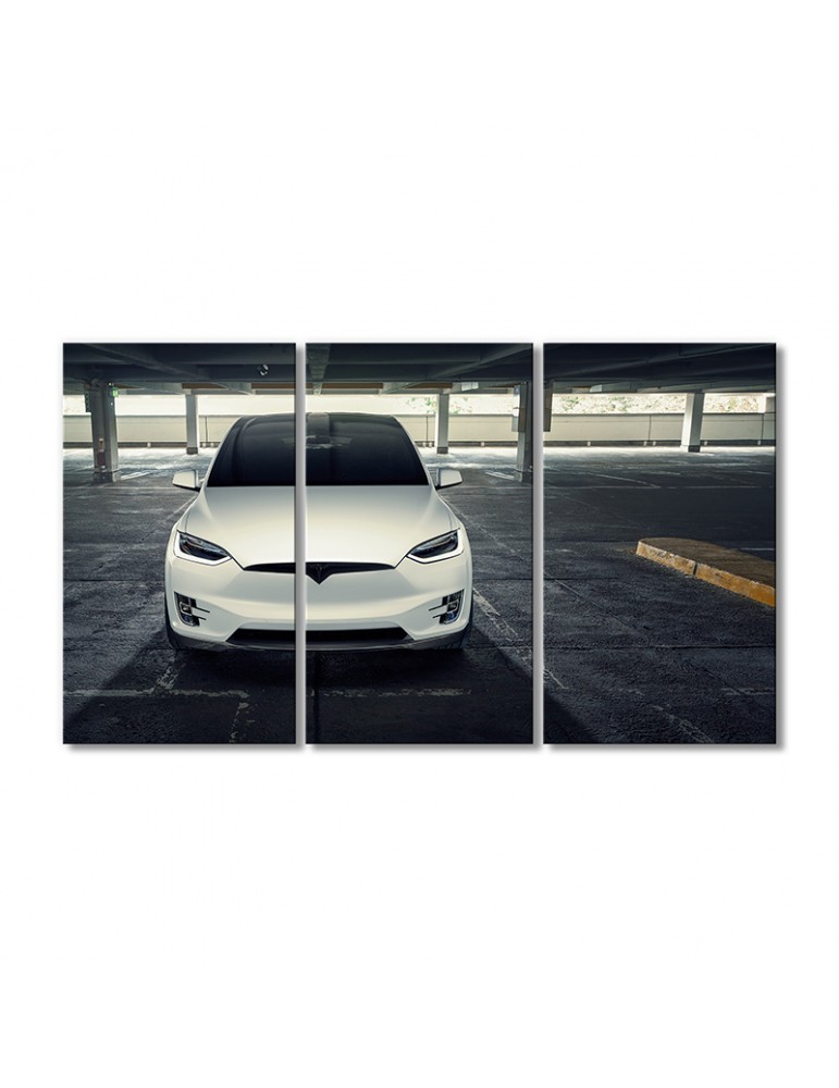 Модульная картина Artel «Автомобиль Тесла модель X 2020 года» 3 модуля 120x180 см
Модульная картина Artel «Автомобиль Тесла модель X 2020 года» 3 модуля 120x180 см