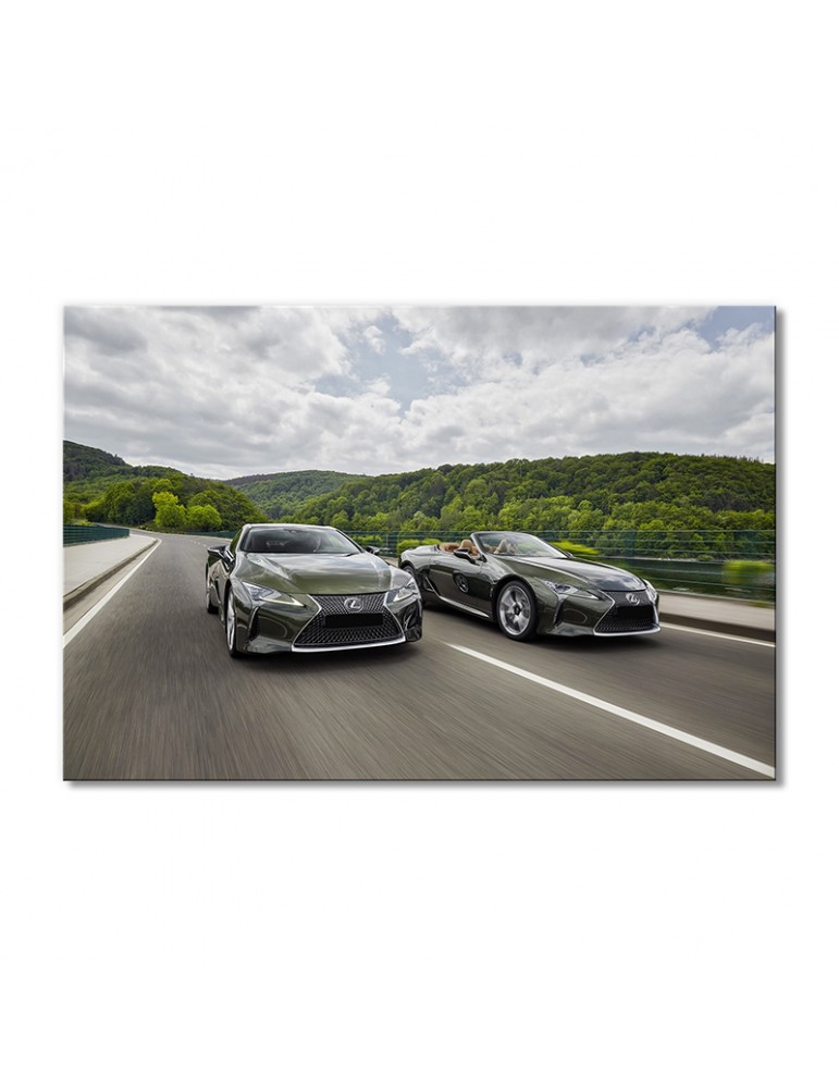 Модульная картина Artel «Автомобили Лексус ЛЦ 500» 1 модуль 50x75 см
Модульная картина Artel «Автомобили Лексус ЛЦ 500» 1 модуль 50x75 см