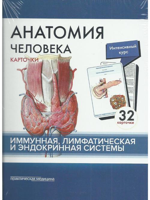 Сапин Анатомия человека: КАРТОЧКИ (32шт). Имунная, лимфатическая и эндокринная системы 2017 год (978-5-98811-494-9) Изд. Практическая Медицина
Сапин Анатомия человека: КАРТОЧКИ (32шт). Имунная, лимфатическая и эндокринная системы 2017 год (978-5-98811-494-9) Изд. Практическая Медицина