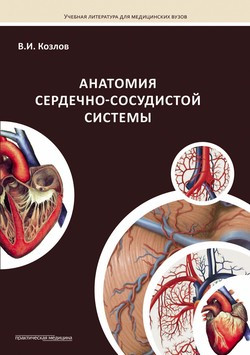 Козлов В. И. Анатомия сердечно-сосудистой системы (978-5-98811-200-6) Изд. Практическая Медицина
Козлов В. И. Анатомия сердечно-сосудистой системы (978-5-98811-200-6) Изд. Практическая Медицина