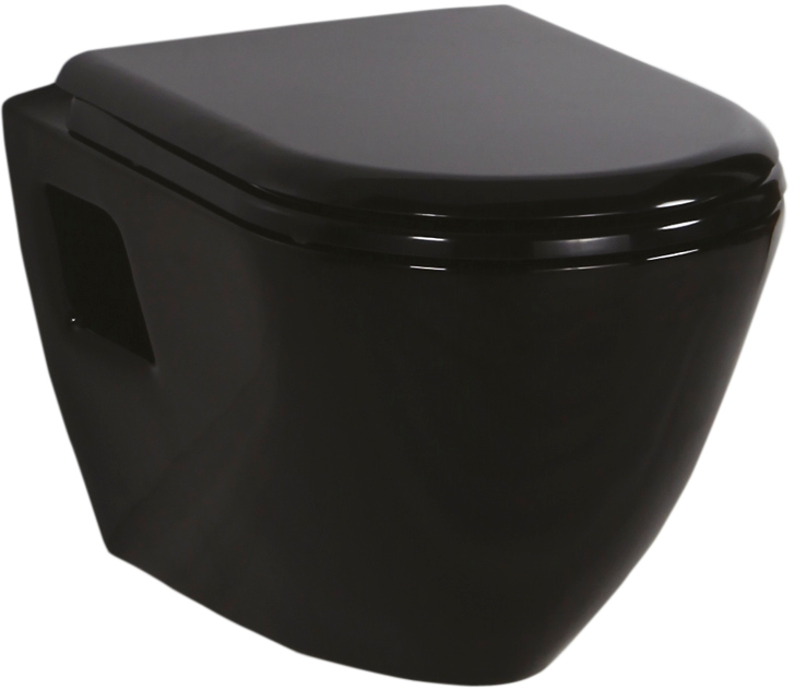 Унитаз подвесной CREAVIT Terra TP325-11SI00E-0000 + сиденье Soft Close KC0103.01.1300E дюропласт черный
Унитаз подвесной CREAVIT Terra TP325-11SI00E-0000 + сиденье Soft Close KC0103.01.1300E дюропласт черный