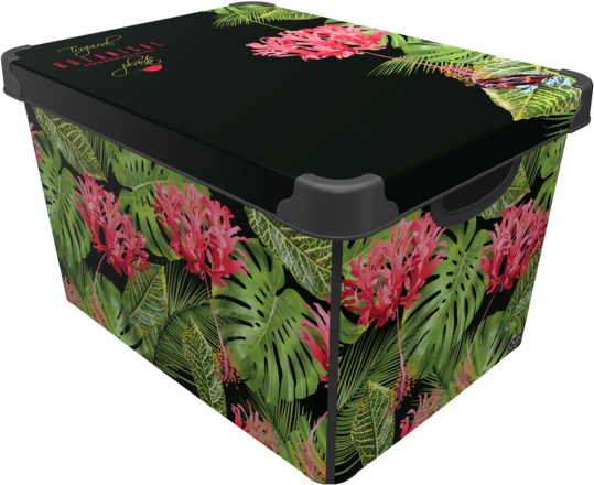 Контейнер для хранения с крышкой Qutu Style Box Botanic 20 л (STYLE BOX с/к BOTANIC 20л.)
Контейнер для хранения с крышкой Qutu Style Box Botanic 20 л (STYLE BOX с/к BOTANIC 20л.)