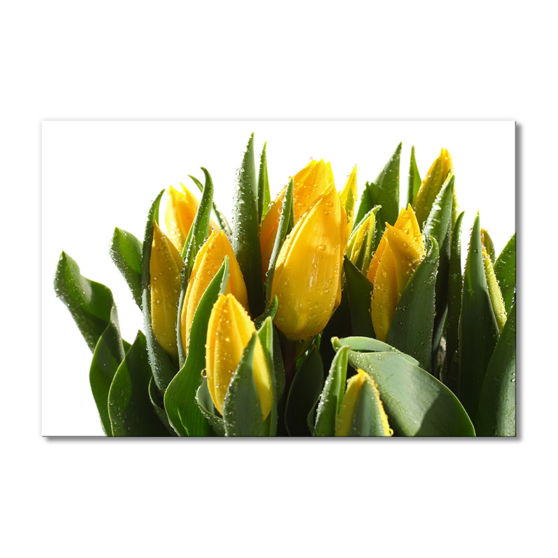 Модульная картина Artel «Букет желтых тюльпанов в каплях воды» 1 модуль 50x75 см
Модульная картина Artel «Букет желтых тюльпанов в каплях воды» 1 модуль 50x75 см