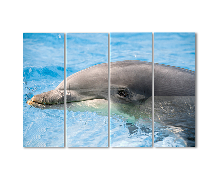 Модульная картина Artel «Дельфин морской» 4 модуля 60x90 см
Модульная картина Artel «Дельфин морской» 4 модуля 60x90 см