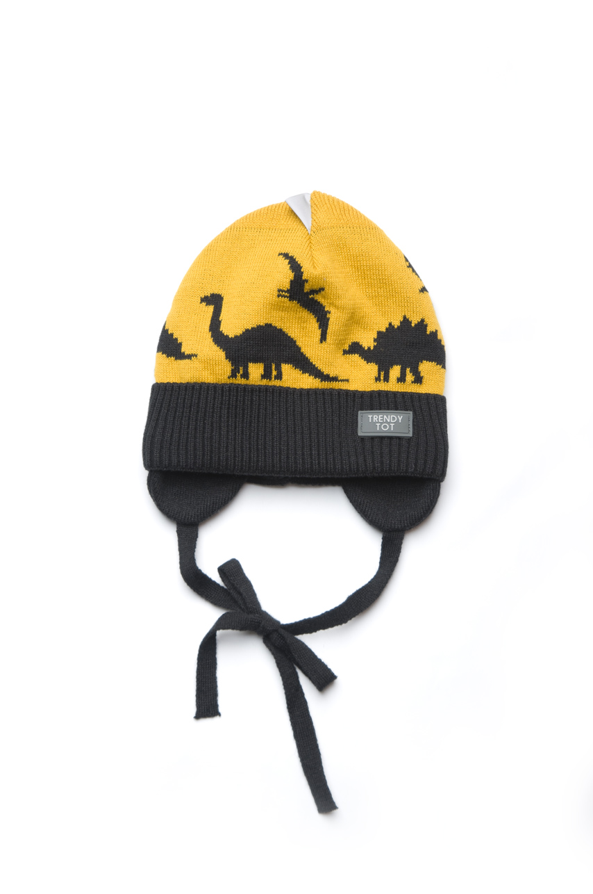 Шапка Модный карапуз 48-50 гірчичний+чорний 03-01151-2
Шапка Модный карапуз 48-50 гірчичний+чорний 03-01151-2