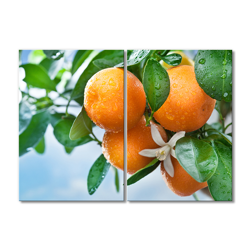 Модульная картина Artel «Мандарины в утренней росе» 2 модуля 120x180 см 
Модульная картина Artel «Мандарины в утренней росе» 2 модуля 120x180 см