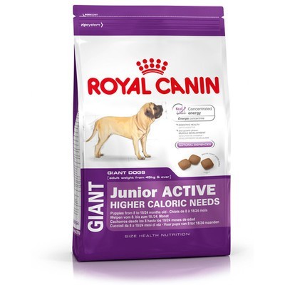 Сухой корм Royal Canin Giant Junior Active для щенков собак очень крупных размеров 15 кг
Сухой корм Royal Canin Giant Junior Active для щенков собак очень крупных размеров 15 кг