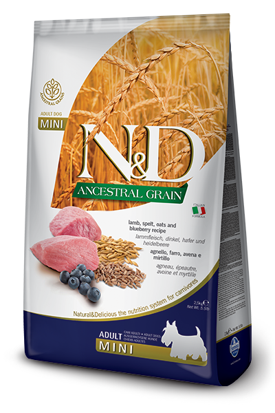 Сухой корм Farmina (Фармина) Dog Lamb & Blueberry Adult Mini для взрослых собак мелких пород ягненок 0.8 кг
Сухой корм Farmina (Фармина) Dog Lamb & Blueberry Adult Mini для взрослых собак мелких пород ягненок 0.8 кг