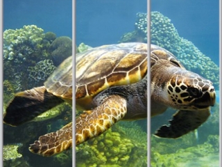 Шкаф купе Luxe Studio Стандарт-1 Фотопечать Животные-2 2200x2200x450 трехдверный
Шкаф купе Luxe Studio Стандарт-1 Фотопечать Животные-2 2200x2200x450 трехдверный