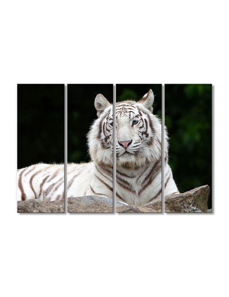 Модульная картина Artel «Тигр-альбинос» 4 модуля 120x180 см
Модульная картина Artel «Тигр-альбинос» 4 модуля 120x180 см
