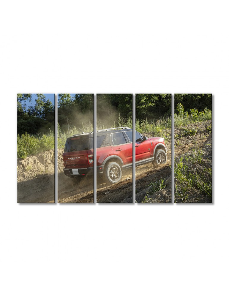 Модульная картина Artel «Форд Бронко Спорт» 5 модулей 70x105 см
Модульная картина Artel «Форд Бронко Спорт» 5 модулей 70x105 см