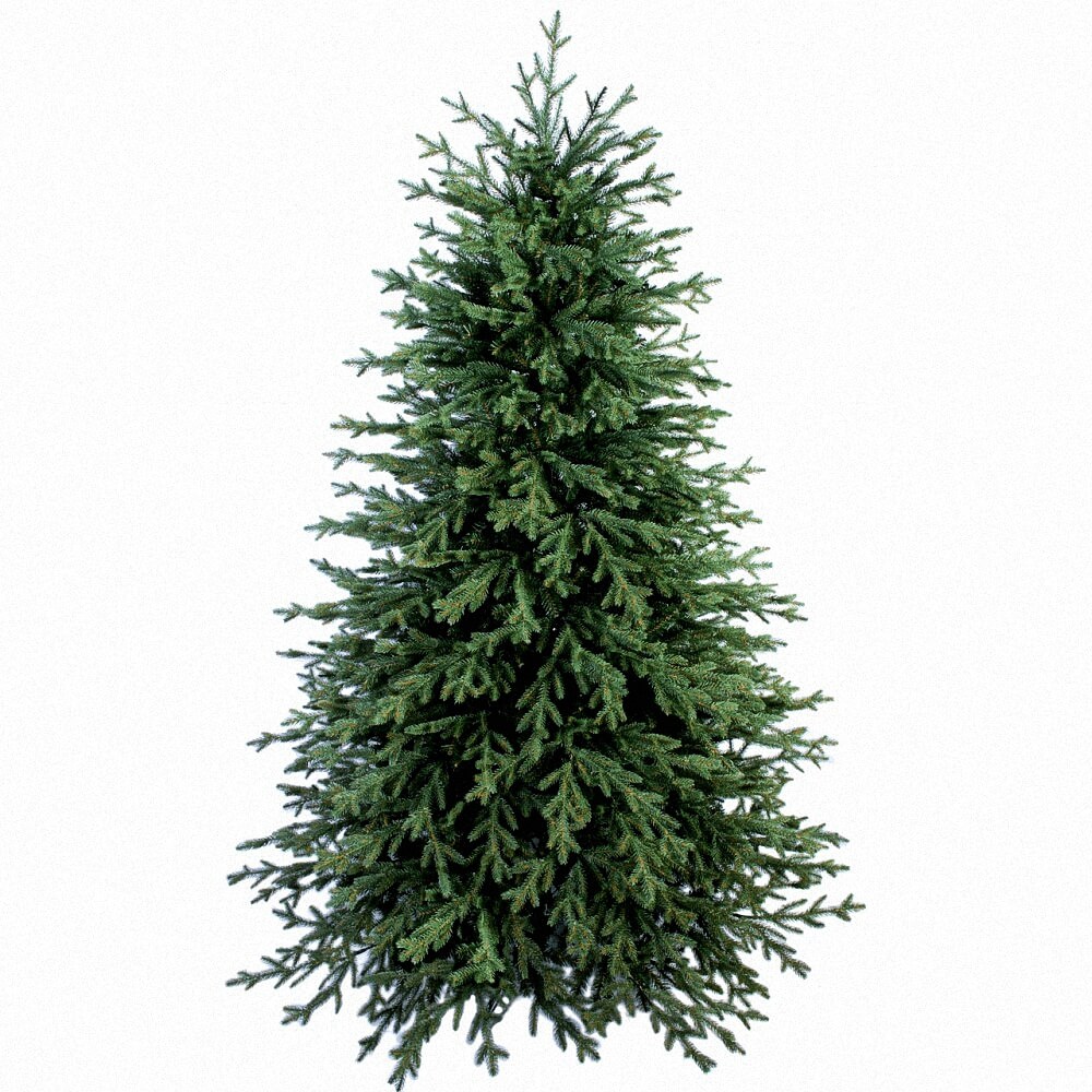 Искусственная елка Элит Arts Pine «Валерия» ПВХ литая 210 см Зеленый (EL-С066) TRG-85843
Искусственная елка Элит Arts Pine «Валерия» ПВХ литая 210 см Зеленый (EL-С066) TRG-85843