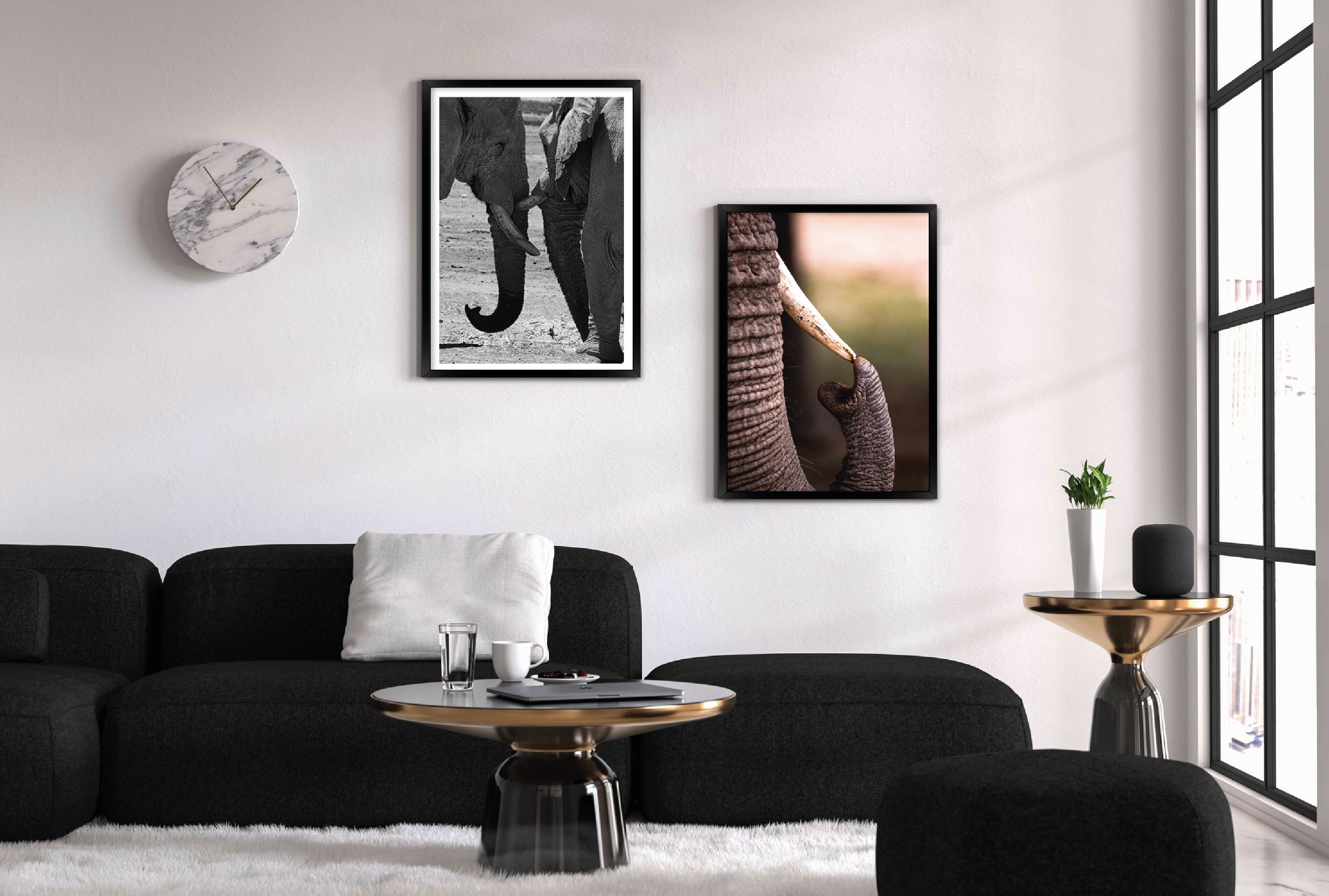 Набор постеров "Слоны" без стекла 59.6 x 84 см в белой рамке
Набор постеров "Слоны" без стекла 59.6 x 84 см в белой рамке