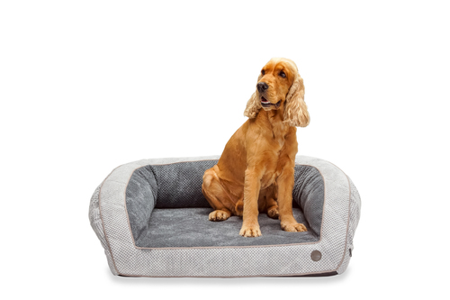 Ортопедический диван серый Sleeper c Memory Foam Soft Touch Gray L (110х80 cm) Harley & Cho BGL-HL-08-4
Ортопедический диван серый Sleeper c Memory Foam Soft Touch Gray L (110х80 cm) Harley & Cho BGL-HL-08-4