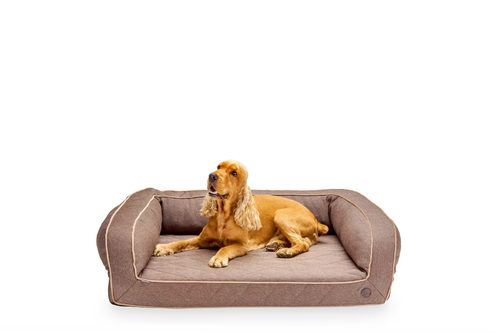 Ортопедический диван коричневый Sleeper c Memory Foam Brown M (88х66 cm) Harley & Cho BGL-HL-07-3
Ортопедический диван коричневый Sleeper c Memory Foam Brown M (88х66 cm) Harley & Cho BGL-HL-07-3