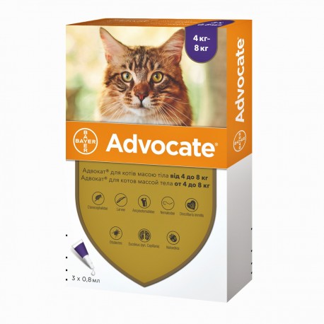 Капли от глистов, блох, клещей для кошек весом от 4 кг до 8 кг Advocate 3 пипетки Bayer BGL-BY-39
Капли от глистов, блох, клещей для кошек весом от 4 кг до 8 кг Advocate 3 пипетки Bayer BGL-BY-39