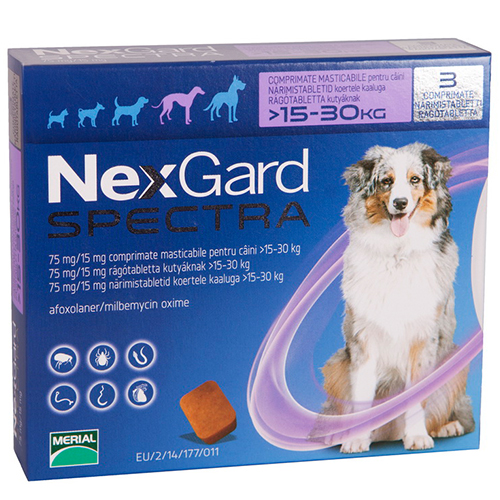 Нексгард Спектра - таблетки от блох и клещей для собак от 15 до 30 кг NexGard Spectra 1 таблетка NexGard BGL-NX-15
Нексгард Спектра - таблетки от блох и клещей для собак от 15 до 30 кг NexGard Spectra 1 таблетка NexGard BGL-NX-15