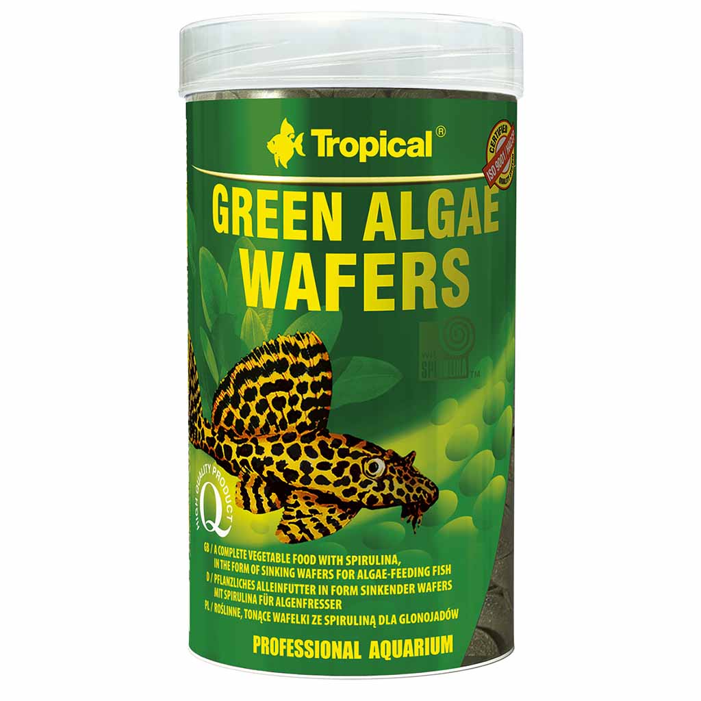 Сухой корм для травоядных донных рыб в пластинках Green Algae Wafers TROPICAL 250 мл - 113 г Tropical BGL-TL-66
Сухой корм для травоядных донных рыб в пластинках Green Algae Wafers TROPICAL 250 мл - 113 г Tropical BGL-TL-66