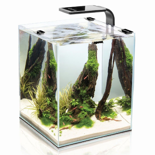 Аквариум кубический для креветок SMART 2.0 черный AQUAEL 30 литров - 29 x 29 x 35 см Aquael BGL-AE-6
Аквариум кубический для креветок SMART 2.0 черный AQUAEL 30 литров - 29 x 29 x 35 см Aquael BGL-AE-6