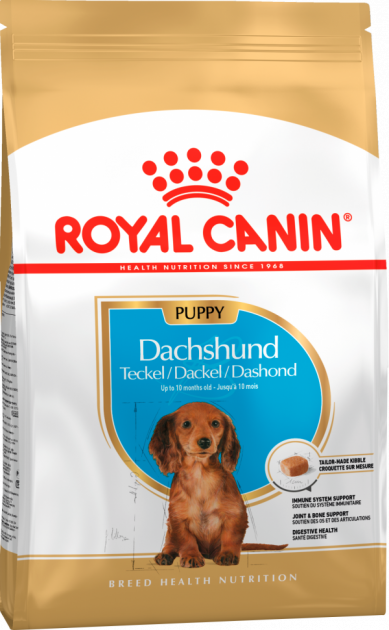 Сухой корм Royal Canin Dachshund Puppy Junior для щенков до 10 месяцев 1.5 кг (3182550722575)
Сухой корм Royal Canin Dachshund Puppy Junior для щенков до 10 месяцев 1.5 кг (3182550722575)