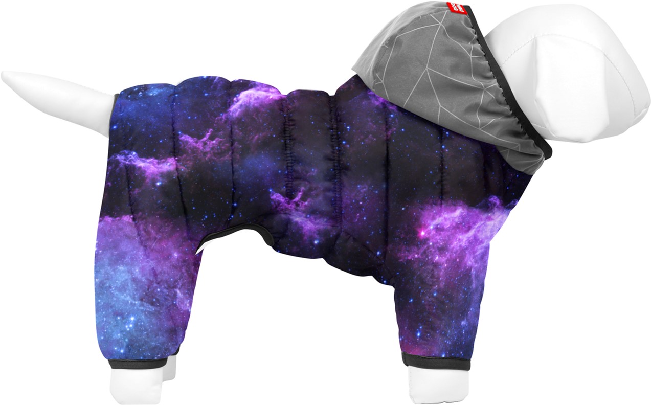 Комбинезон для собак COLLAR WAUDOG Clothes рисунок "NASA21", S32, В 47-50 см, С 30-33 см (5432-0148Collar)
Комбинезон для собак COLLAR WAUDOG Clothes рисунок "NASA21", S32, В 47-50 см, С 30-33 см (5432-0148Collar)