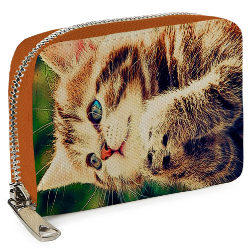 Кошелёк на замке MINI (текстиль) Милый котенок Presentville 12,5х8,5 см 000175566
Кошелёк на замке MINI (текстиль) Милый котенок Presentville 12,5х8,5 см 000175566