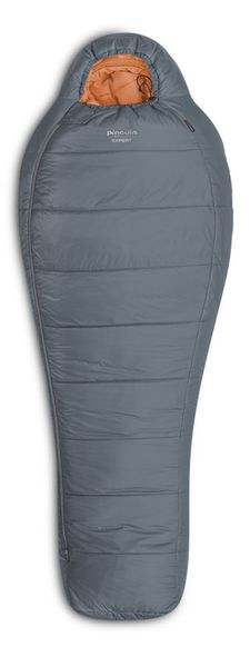 Спальный мешок Pinguin Expert (-8°С/-16°С) 195 см Right Zip Grey (PNG 233483) 2020
Спальный мешок Pinguin Expert (-8°С/-16°С) 195 см Right Zip Grey (PNG 233483) 2020