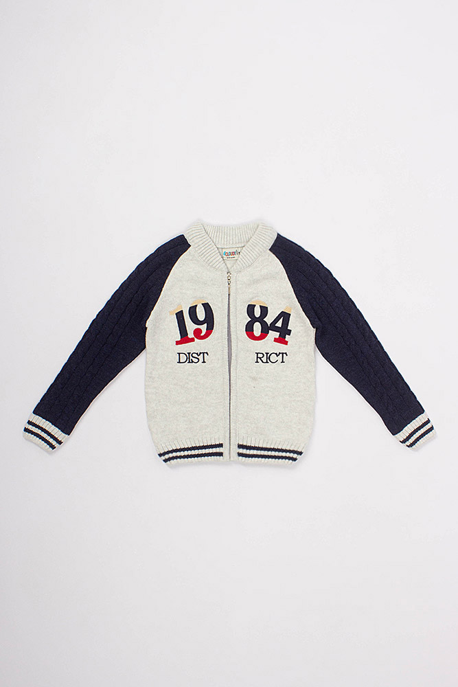 Кофта на хлопчика CLOUDY 116 сірий (SKT000564822) 
Кофта на хлопчика CLOUDY 116 сірий (SKT000564822)