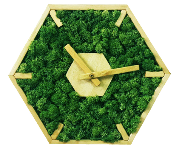 Часы настенные шестиугольные MossArt из стабилизированного мха 30 см Medium Green (1494)
Часы настенные шестиугольные MossArt из стабилизированного мха 30 см Medium Green (1494)