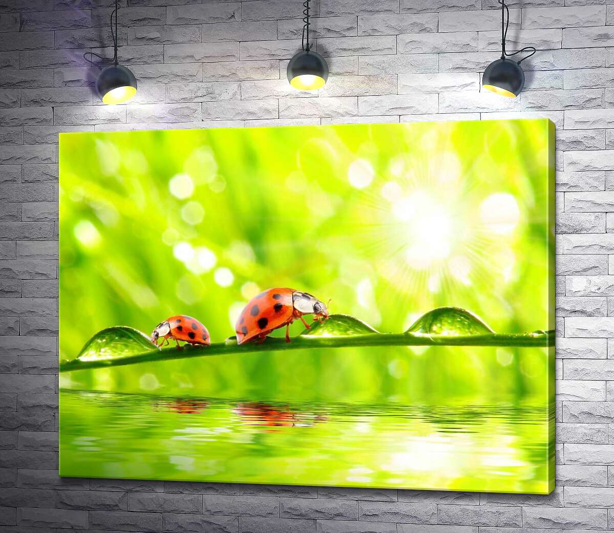 Картина ArtPoster Божьи коровки пьют из капель утренней росы 100x78 см Модуль №1
Картина ArtPoster Божьи коровки пьют из капель утренней росы 100x78 см Модуль №1