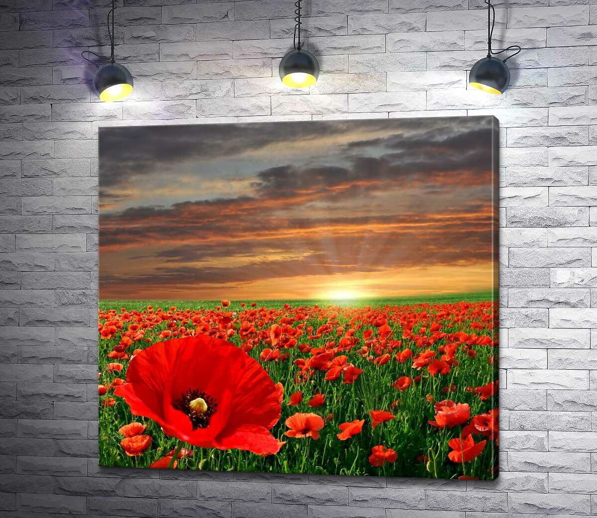 Картина ArtPoster Вечернее солнце садится за бескрайним полем маков 130x122 см Модуль №1
Картина ArtPoster Вечернее солнце садится за бескрайним полем маков 130x122 см Модуль №1