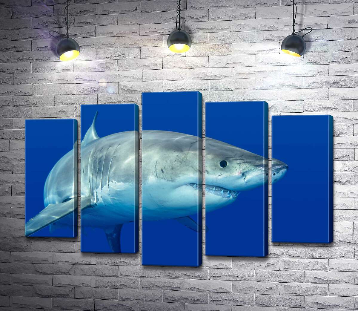 Модульная картина ArtPoster Белая акула плавает в голубой воде 130x88 см Модуль №26
Модульная картина ArtPoster Белая акула плавает в голубой воде 130x88 см Модуль №26