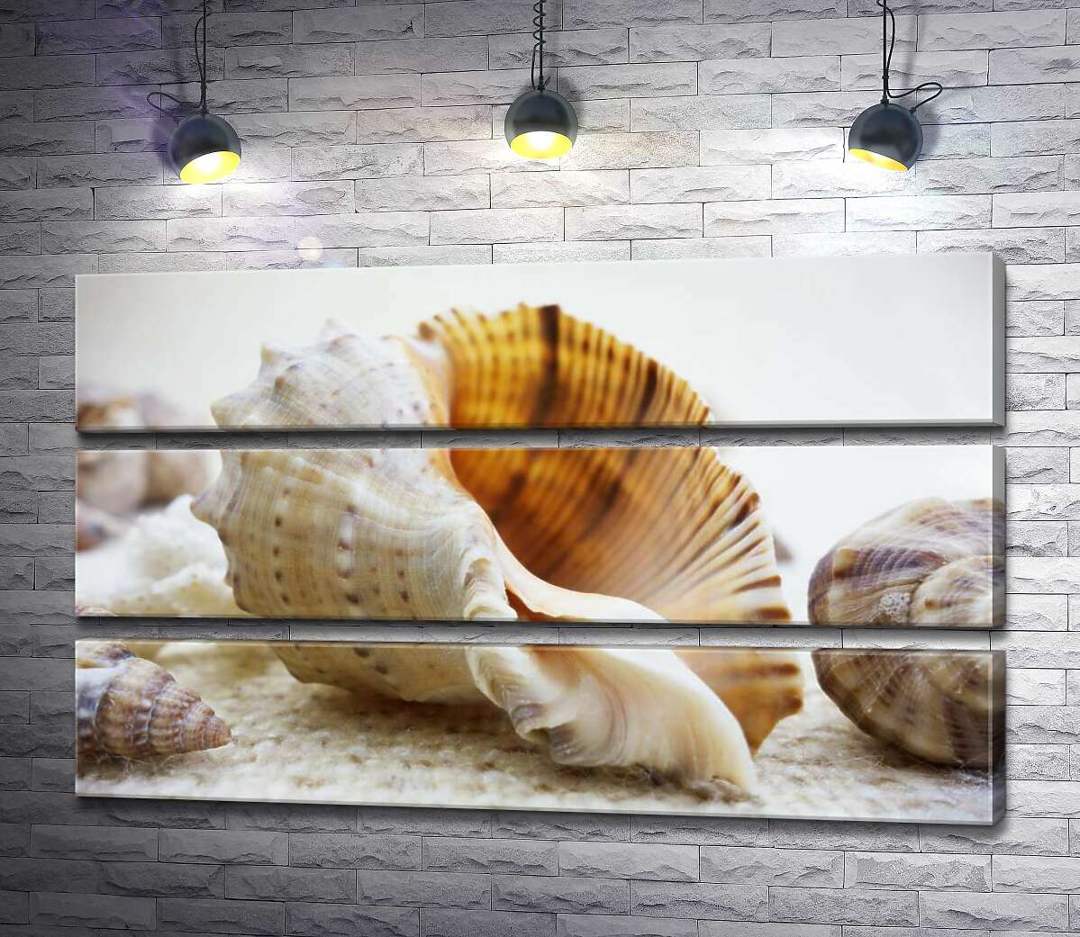 Модульная картина ArtPoster Ажурные изгибы форм в морских раковинах 130x78 см Модуль №13
Модульная картина ArtPoster Ажурные изгибы форм в морских раковинах 130x78 см Модуль №13