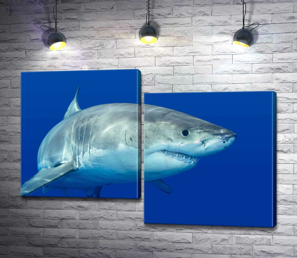 Модульная картина ArtPoster Белая акула плавает в голубой воде 130x88 см Модуль №5
Модульная картина ArtPoster Белая акула плавает в голубой воде 130x88 см Модуль №5