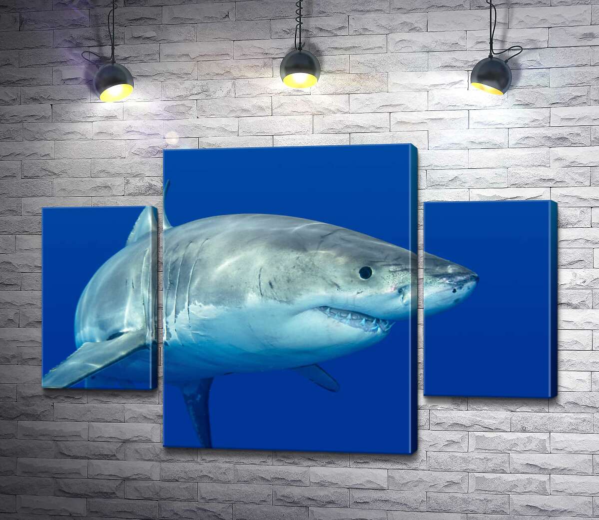 Модульная картина ArtPoster Белая акула плавает в голубой воде 80x54 см Модуль №7
Модульная картина ArtPoster Белая акула плавает в голубой воде 80x54 см Модуль №7