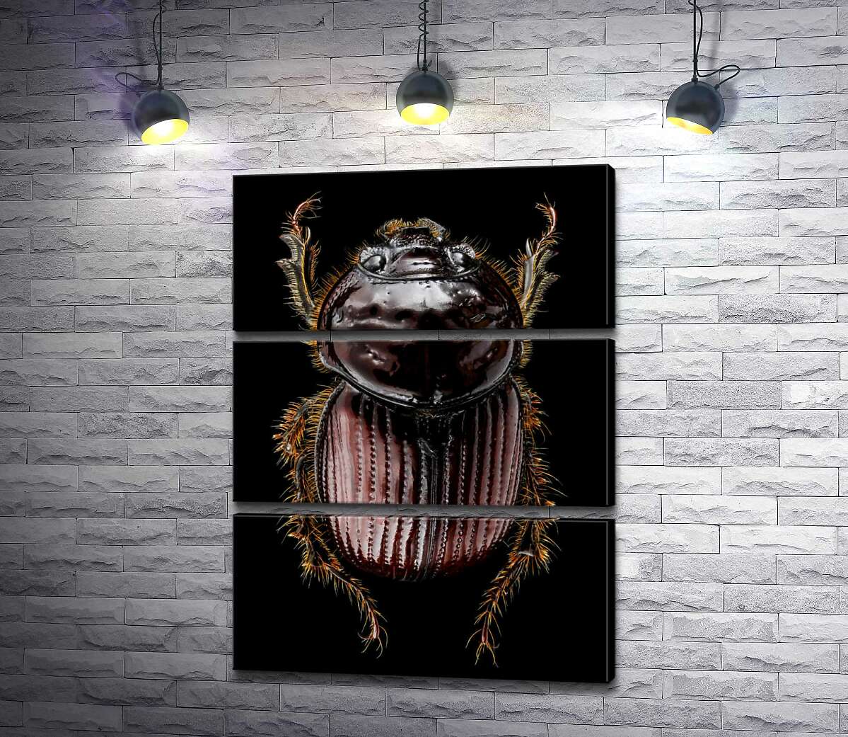 Модульная картина ArtPoster Коричневая поверхность панциря жука онтофага 50x69 см Модуль №13
Модульная картина ArtPoster Коричневая поверхность панциря жука онтофага 50x69 см Модуль №13