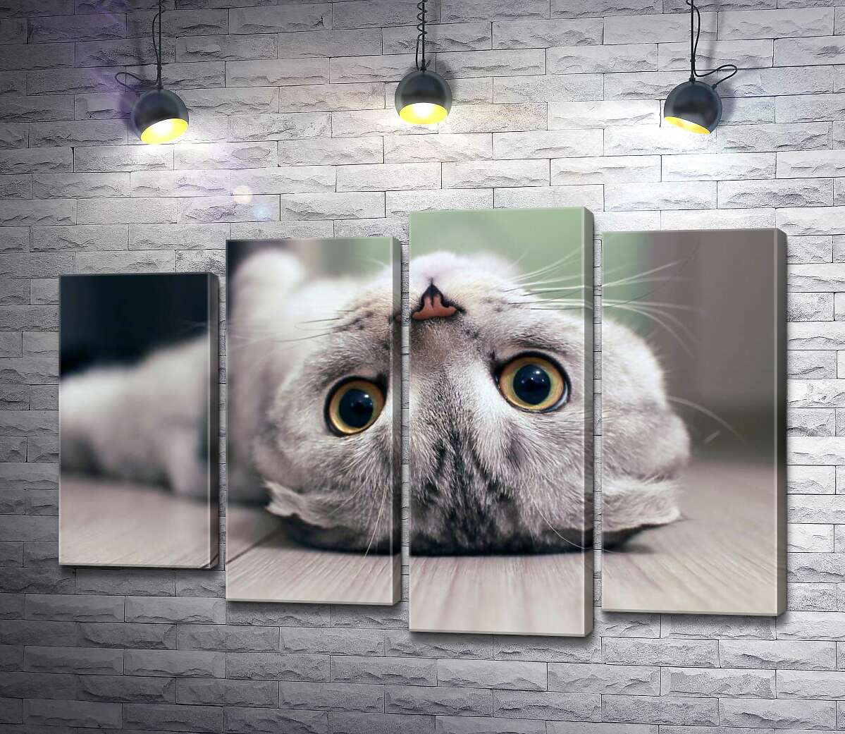 Модульная картина ArtPoster Милый взгляд серого шотландского кота 100x69 см Модуль №21
Модульная картина ArtPoster Милый взгляд серого шотландского кота 100x69 см Модуль №21