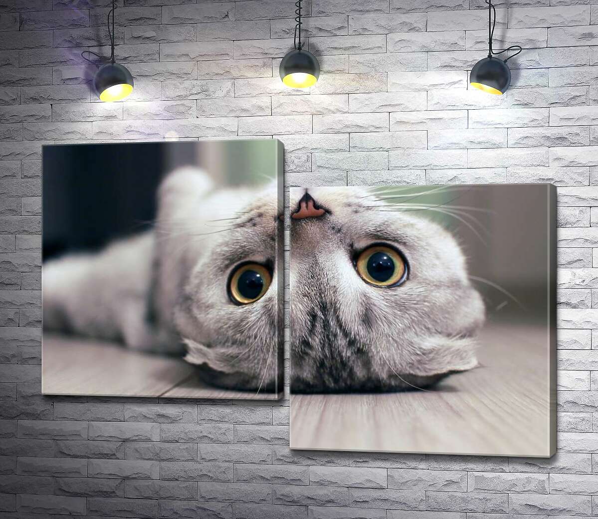 Модульная картина ArtPoster Милый взгляд серого шотландского кота 130x88 см Модуль №5
Модульная картина ArtPoster Милый взгляд серого шотландского кота 130x88 см Модуль №5