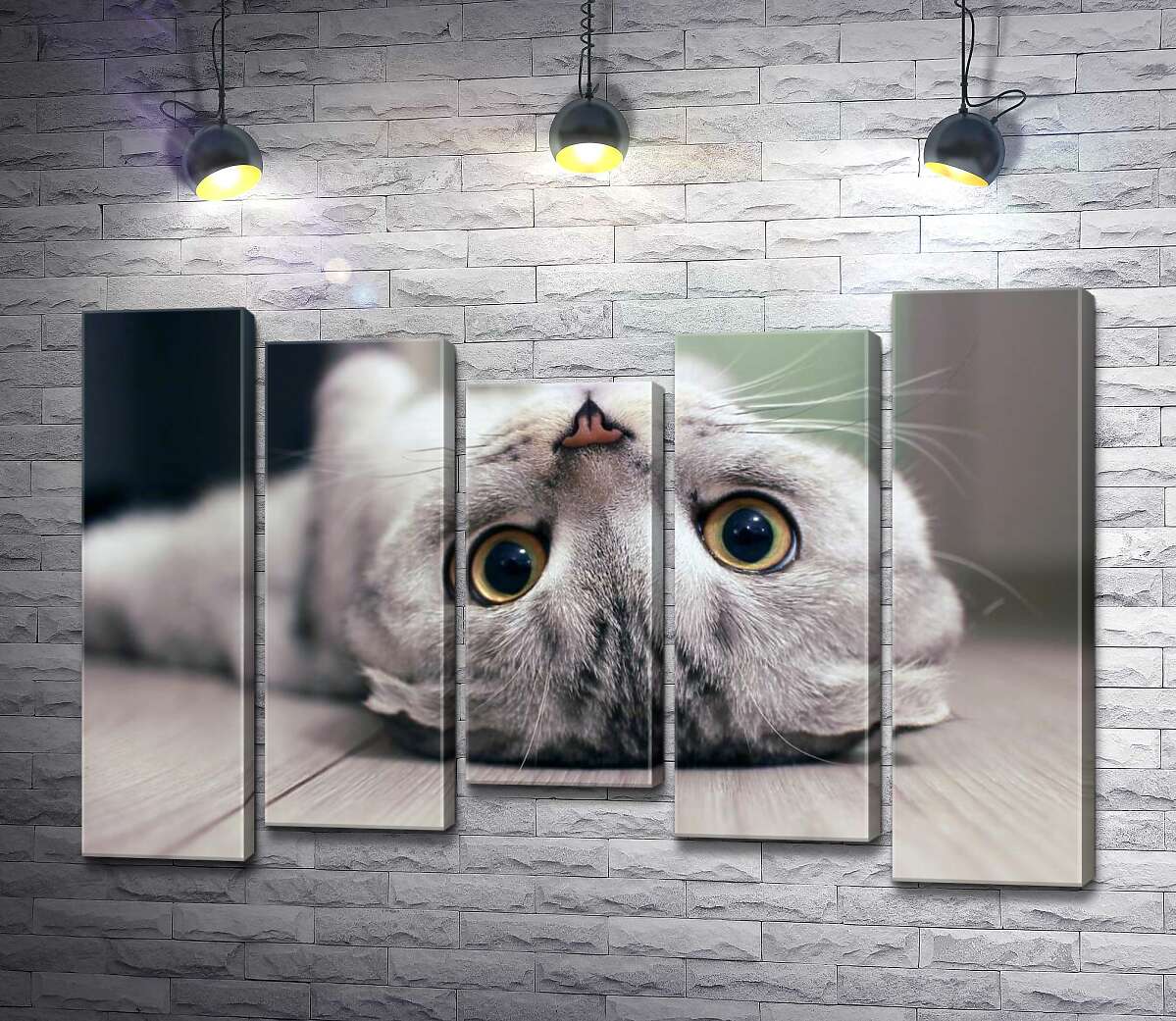 Модульная картина ArtPoster Милый взгляд серого шотландского кота 130x88 см Модуль №28
Модульная картина ArtPoster Милый взгляд серого шотландского кота 130x88 см Модуль №28