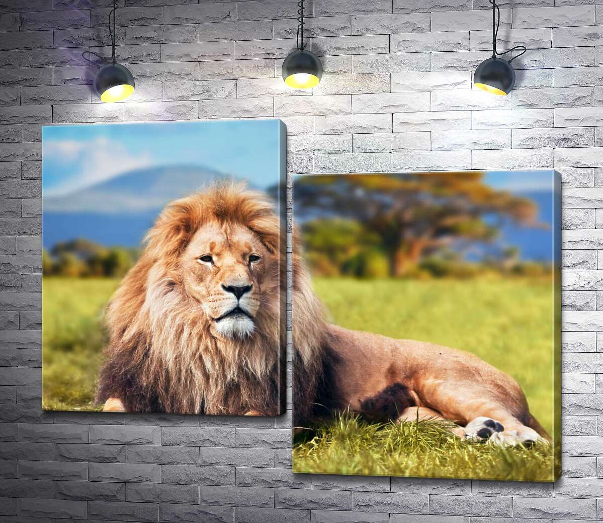 Модульная картина ArtPoster Лев отдыхает среди саванны 100x76 см Модуль №5 
Модульная картина ArtPoster Лев отдыхает среди саванны 100x76 см Модуль №5