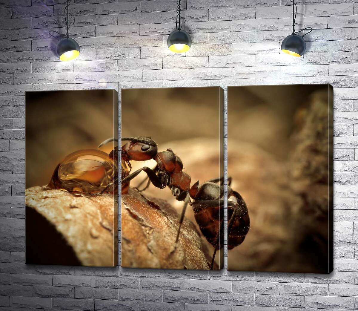 Модульная картина ArtPoster Маленький муравей пьет из капли 102x66 см Модуль №11
Модульная картина ArtPoster Маленький муравей пьет из капли 102x66 см Модуль №11