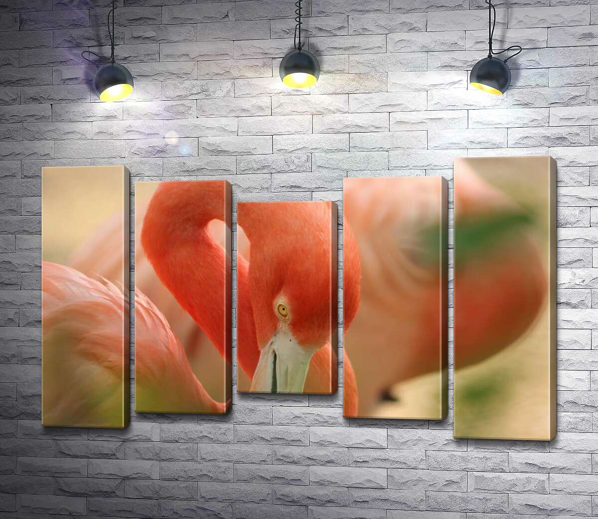 Модульная картина ArtPoster Нежно-розовое оперение на изгибах шеи фламинго 100x65 см Модуль №28
Модульная картина ArtPoster Нежно-розовое оперение на изгибах шеи фламинго 100x65 см Модуль №28
