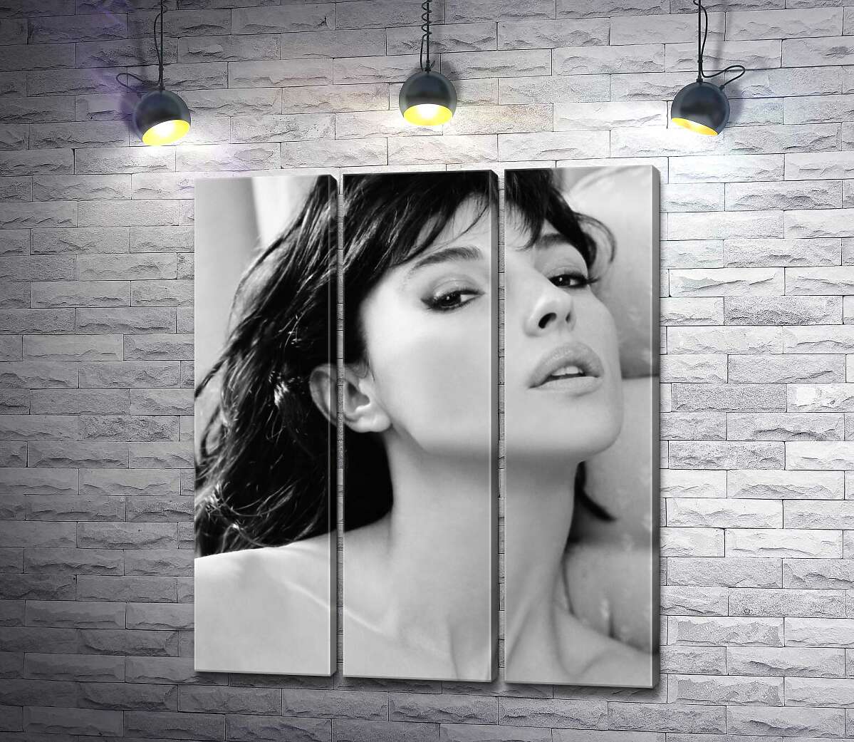 Модульная картина ArtPoster Откровенный взгляд Моники Беллуччи (Monica Bellucci) 60x74 см Модуль №11
Модульная картина ArtPoster Откровенный взгляд Моники Беллуччи (Monica Bellucci) 60x74 см Модуль №11