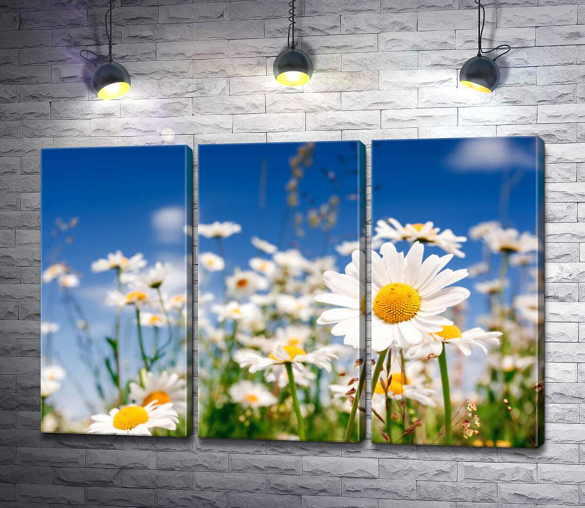 Модульная картина ArtPoster Поле белоснежных ромашек 60x40 см Модуль №11
Модульная картина ArtPoster Поле белоснежных ромашек 60x40 см Модуль №11