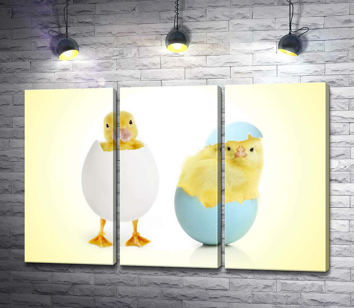 Модульная картина ArtPoster Пушистые утенок и цыпленок вылупились из яиц 132x87 см Модуль №11
Модульная картина ArtPoster Пушистые утенок и цыпленок вылупились из яиц 132x87 см Модуль №11