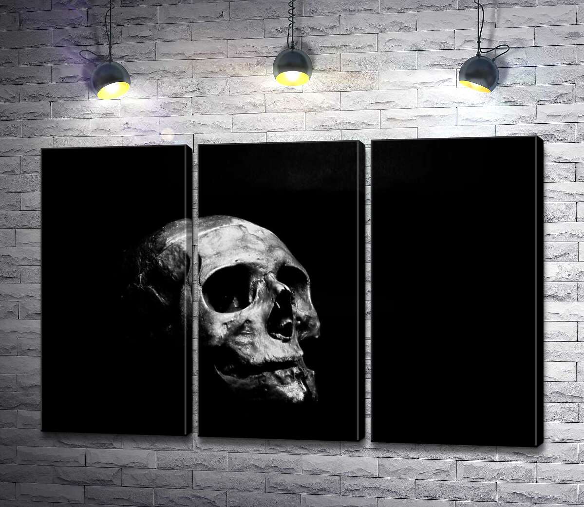 Модульная картина ArtPoster Светлые формы черепа тонут в густой тьме 132x87 см Модуль №11
Модульная картина ArtPoster Светлые формы черепа тонут в густой тьме 132x87 см Модуль №11