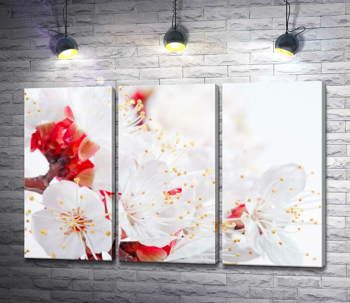 Модульная картина ArtPoster Тонкие тычинки с желтыми кисточками на белых весенних цветах 60x40 см Модуль №11
Модульная картина ArtPoster Тонкие тычинки с желтыми кисточками на белых весенних цветах 60x40 см Модуль №11