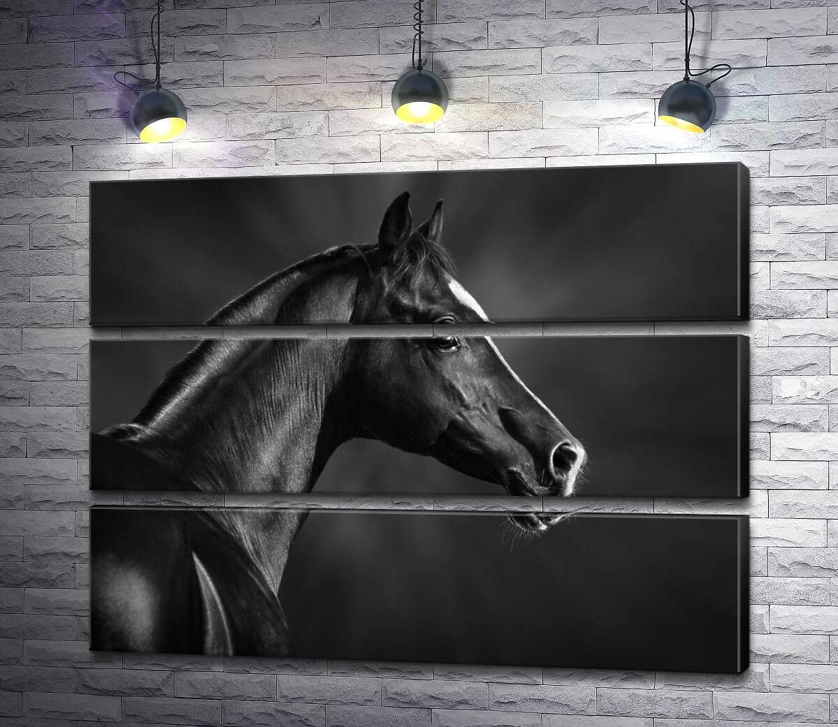 Модульная картина ArtPoster Черно-белый профиль благородного коня 100x75 см Модуль №13
Модульная картина ArtPoster Черно-белый профиль благородного коня 100x75 см Модуль №13